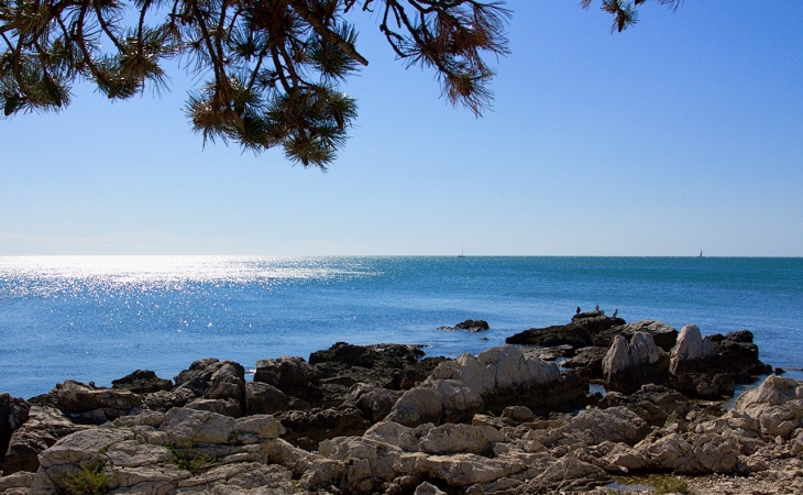 istra3.jpg istra3.jpg