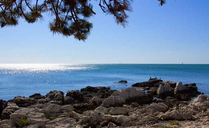 istra7.jpg istra7.jpg